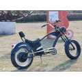 ISO CE ROHS Certificate electric bike