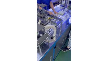 Button battery