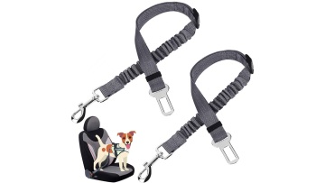 pet seat belt for car