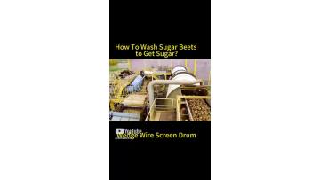 Rotary Drum Screen Beet Washing