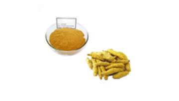 China Manufacturer Turmeric Root Extract 95% Curcumin Powder1