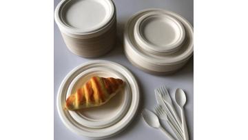 bagasse pulp round plate