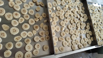 Freeze Dried Aloe Vera Using a Freeze Dryer