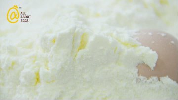 Egg powder