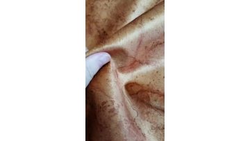 printed holland velvet