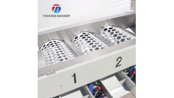 TS-FS340 Commercial Apple Sorter Fruit Sizing Machine