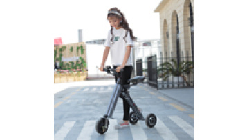 FS-18L 3 Wheel Scooter With Seat