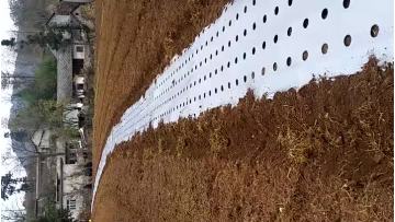 mulching film.mp4