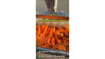 Carrot washing & peeling machine