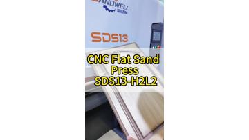 SDS13-H2L2_uneven_panel_sanding.mp4