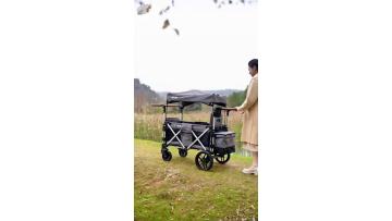One Wagon for Four Kids!
