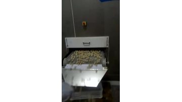 fish ball freezing output