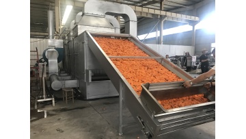 carrots drying machine