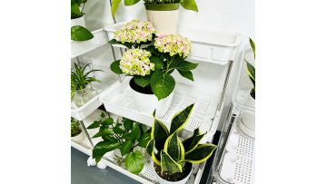 Transparent Wheeled Plant Stand for Home and Balcony Organization
