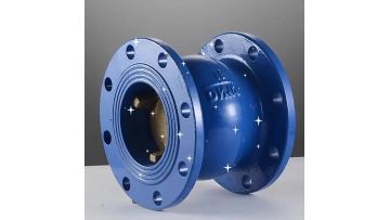 Silencing check valve