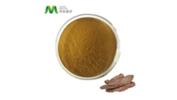 Youth China Manufacturer Organic Cistanche Tubulosa Powder Extract1