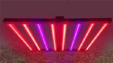 800W grow light 3 way dimming