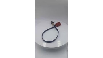 Oxygen Sensor