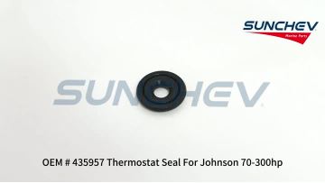 435957 Thermostat Seal
