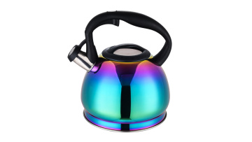 Stainless Steel Colorful Whistling Kettle FH-569