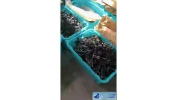 insert tool FACTORY_20221108_14071998