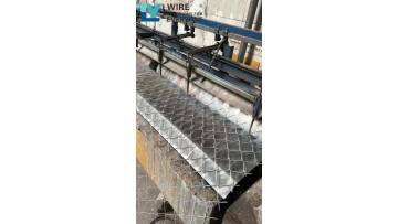 Chain Link Fence