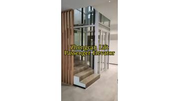 Elevator Lift Passenger