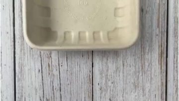 sugarcane bagasse food tray