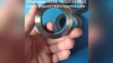 Type 7K Mechanical Seal for Inoxpa Food Lobe Pump Seal1