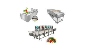 Fruit washing production line