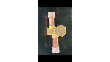 Service valve -04