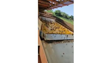 Vibrating Screen
