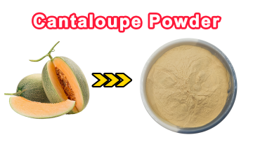 Cantaloupe Powder