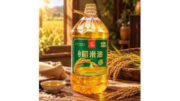 Rice Bran Oil Products