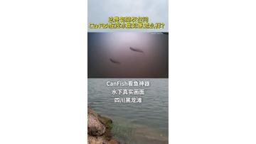 Many anglers fishing in reservoirs or wild waters ask how well CanFish performs in murky water. Today let’s show you a fishing video shot by CanFish in turbid water!