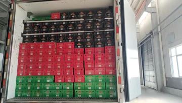 Loaded & Ready: Healthy Noodles on the Move