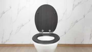Fanmitrk Toilet Seat SDEB6317-53