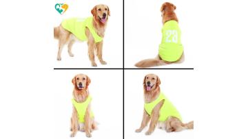 pet clothes designer