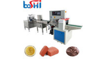 Extruder Machine for Maize Gulten Feed Packaging Machine Cat Dog Bee Feed Meat Shrimp Bean Bee Paste Packing Machine1