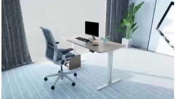 Metal CO Factory Wholesale Design Furniture Workstation Table Desk Office  Customize standing desk1