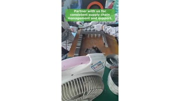 Video 24