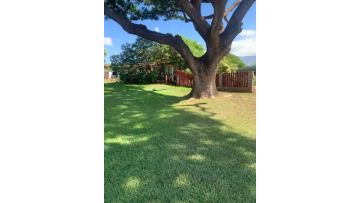 Tree Swing Blue