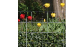 Galvanized welded wire mesh