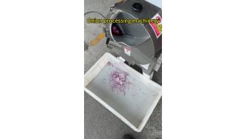 Onion processing machinery onion cutter