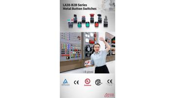 LA38-B2B Series Metal Button Switch