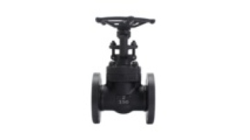 ANSI API A105 forged carbon steel flanged gate valve 1/2 inch-2 DN15-DN501