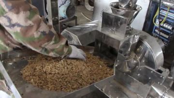 Spice Pepper Herb Sugar Salt Grinding Machine