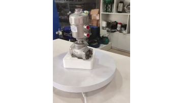 Stainless steel head pneumatic lumbar drum valve