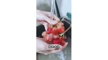 Titanium Rotary Fruit and Vegetable Cleaning Machine