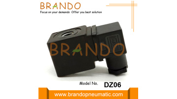DZ06